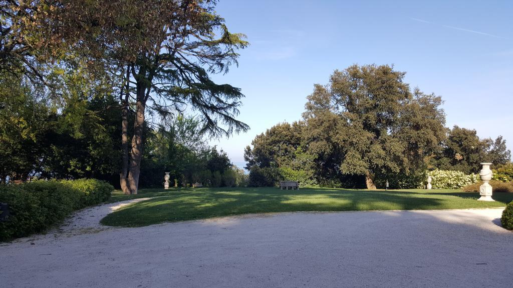 Villa Lattanzi Marina Palmense Eksteriør billede